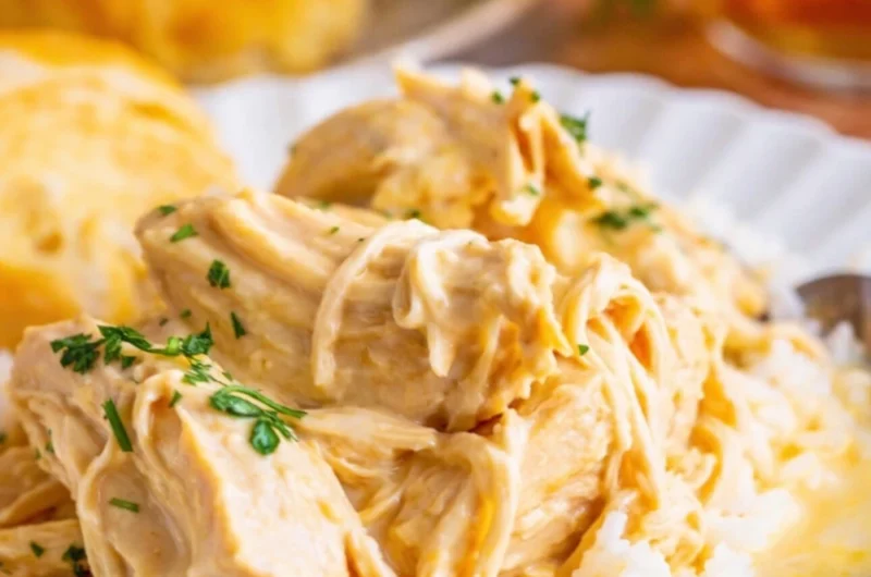 3-Ingredient Chicken and Gravy (Slow Cooker, Instant Pot & Stovetop Guide)